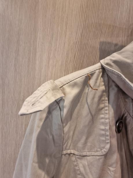 Bledý jarný kabát, amisu,l