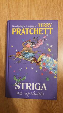 Striga na vysávači,