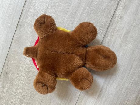 Farebná korytnačka,