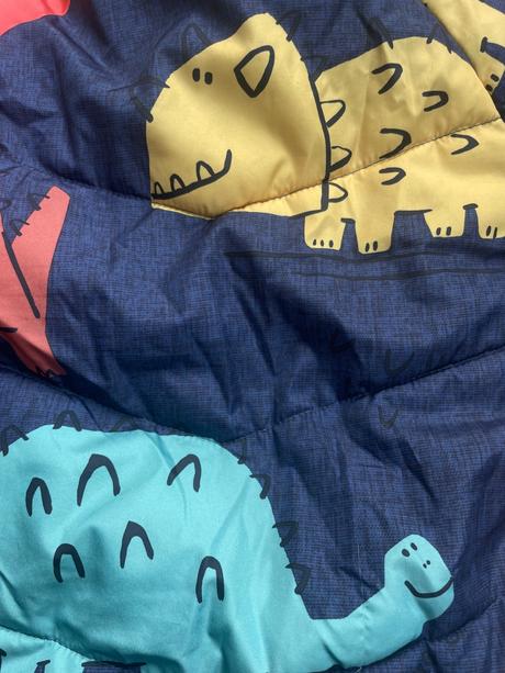 Zimná bunda dinosaurus, f&f,86