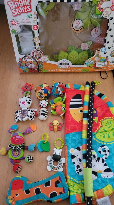 Hrazdička bright starts, 