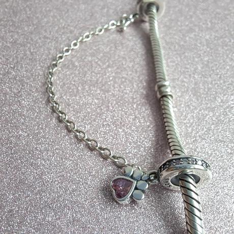 Bezpečnostná retiazka labka, 