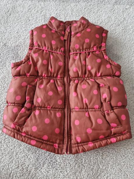 Vesta teplejsia, next,104