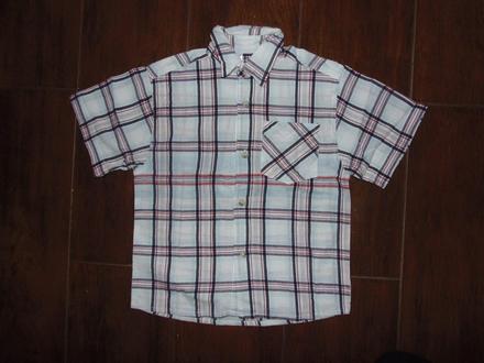 Košela, palomino,98