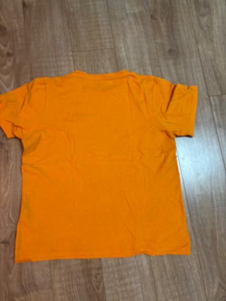 Tricko s potlacou, alpine pro,l