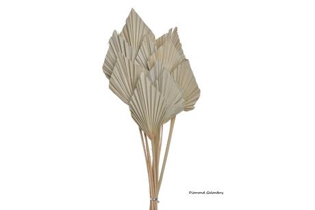 Palmové listy - 30-35 cm - natur, 