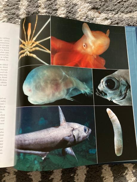 Planéta zem alastair fothergill (2007), 