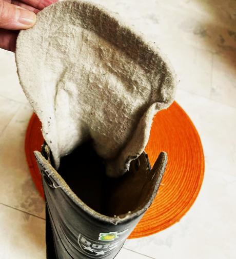 Pánske korčule botas č.42, botas,42