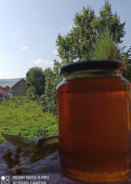 Lipový a lesný med, 