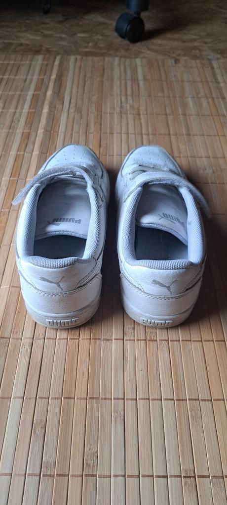 Botasky puma, puma,32