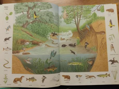 Obrázkový slovník pre deti, ktoré chcú vedieť viac, 