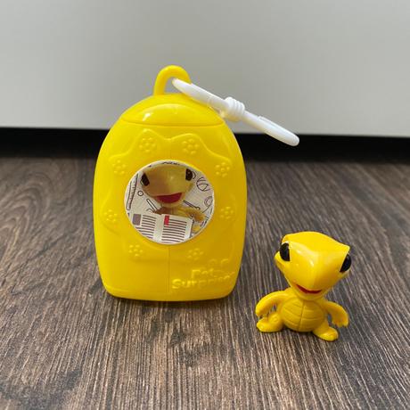 Korytnačka v krabičke, 