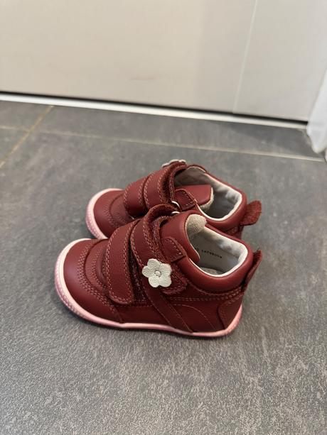 Protetika agnes terakota, protetika,19