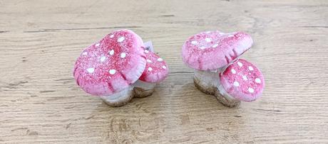 Muchotrávka - 80x50 mm, 