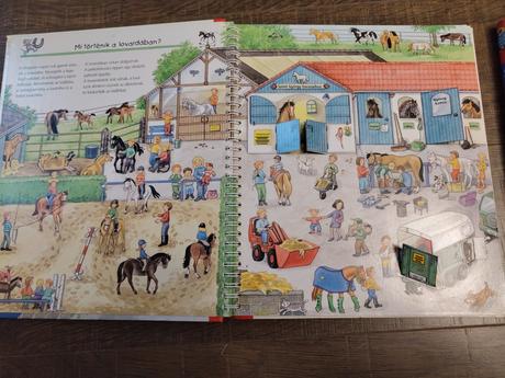 Local es ponik valamint felfedezes es kizerletezes, 