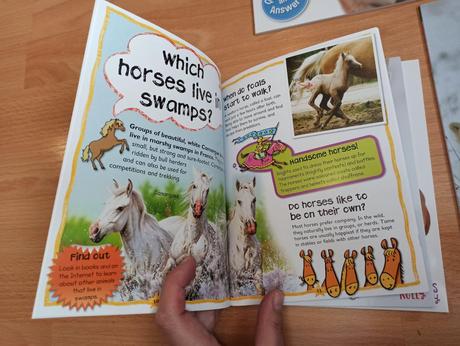 Questions and answers a5 na kusy, 