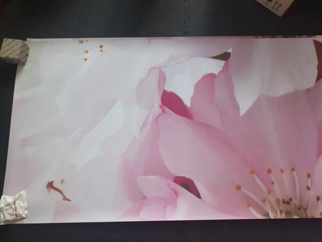 Fototapeta 254 x 184 cm - jabloňové kvety,