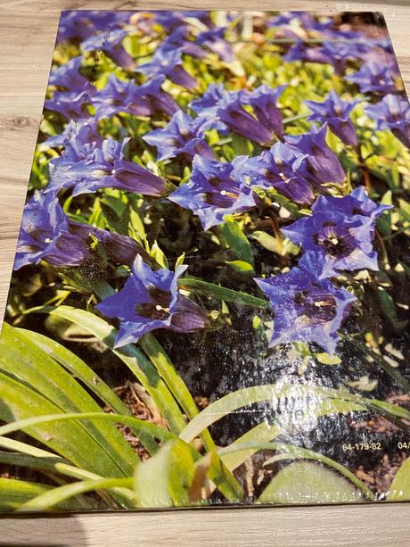 Krásna stará retro kniha jeseň v záhrade 1982, 