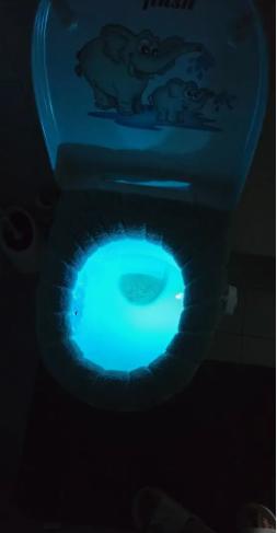 Svetlo do wc so senzorom pohybu, 