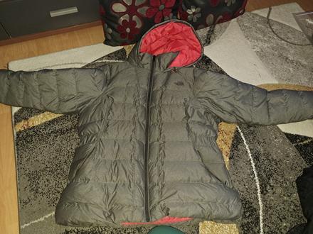 Zimna bunda tnf, xl
