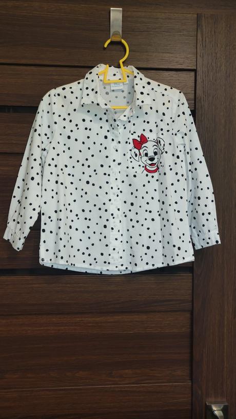 Dievčenská košeľa, 110