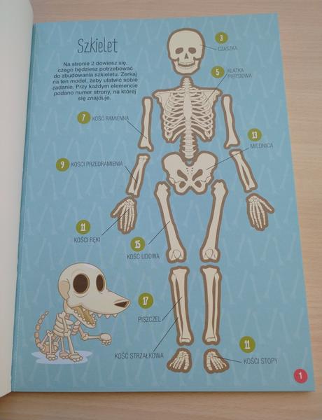 Pracovný zošit ľudské telo, 