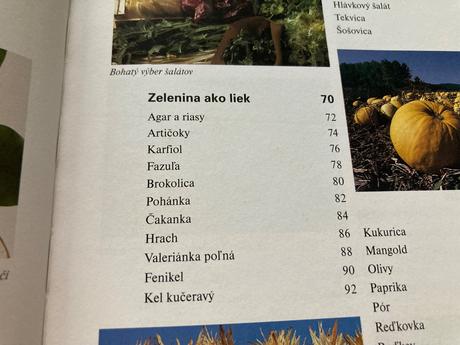 Ovocie a zelenina ako liek (2001),