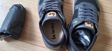 Be lenka champ 2.0, be lenka,38