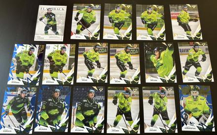 Hokejové kartičky, 