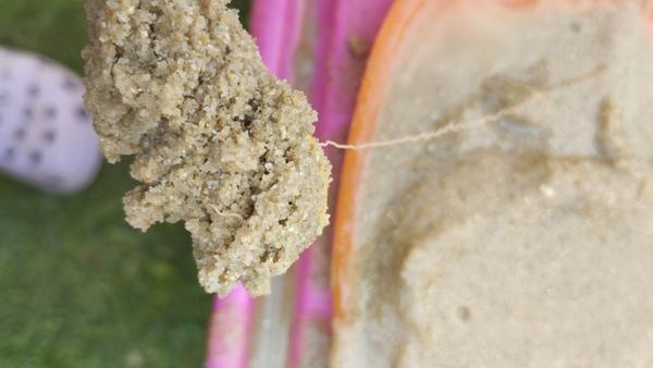 Mohol byť v detskom piesku parazit?