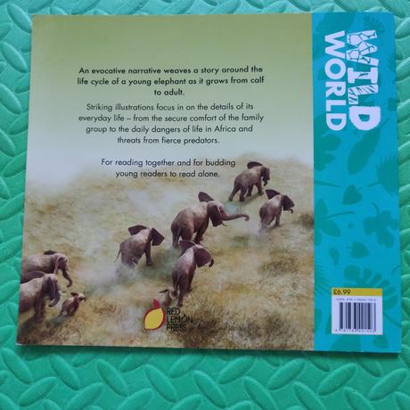 Wild world elephant,