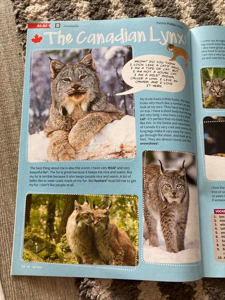 Časopisy r&r, karty a cd, 