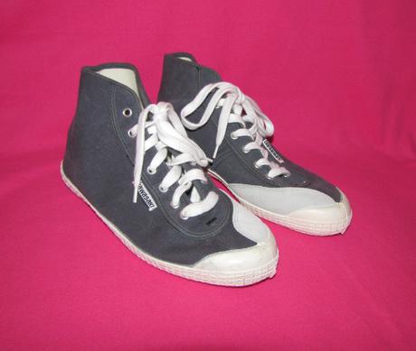 Plátenky kawasaki, 40