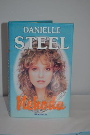 Danielle steel - nehoda, 
