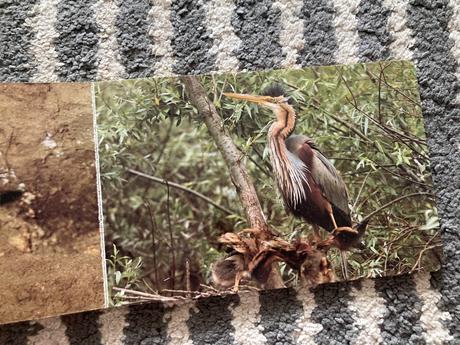 Pri vodičke, na vode /leporelo-prvé vyd.1989, 