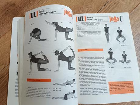 Joga osem stupnov vycviku, 