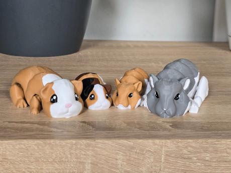 Pohyblivé morčiatka a škrečkovia,