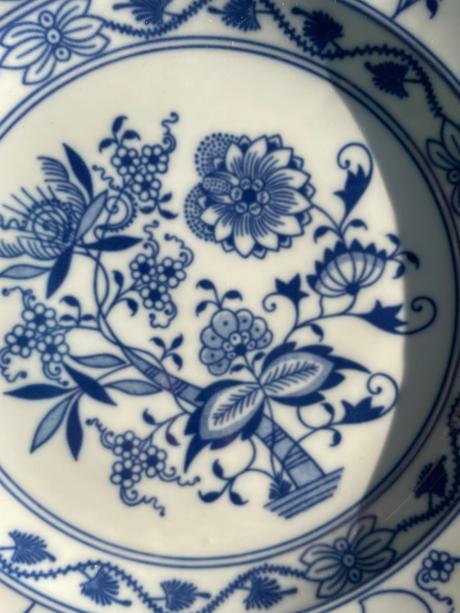 Taniere cibuľové originál,