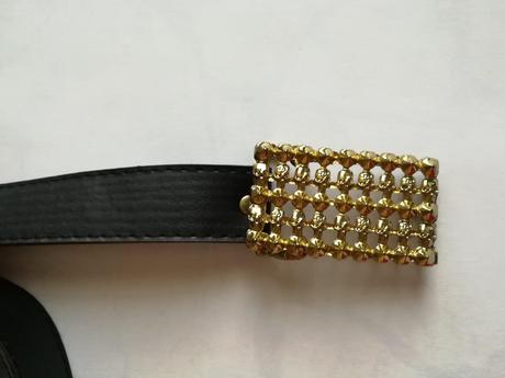 Čierny opasok so zlatou prackou, 