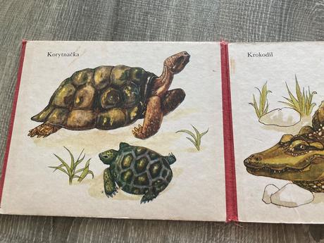 Uhádneš, kto som prvé vydanie (1976), 