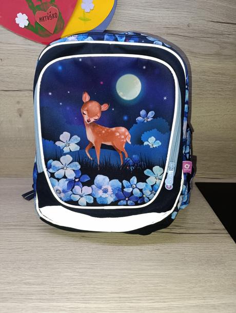 Školská taška topgal, 