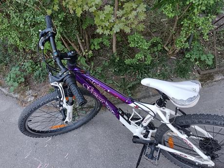 Bicykel, 24