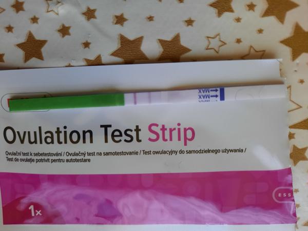 Ovulácia a pohlavný styk