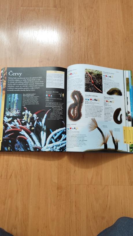 Živočíchy detská encyklopédia, 