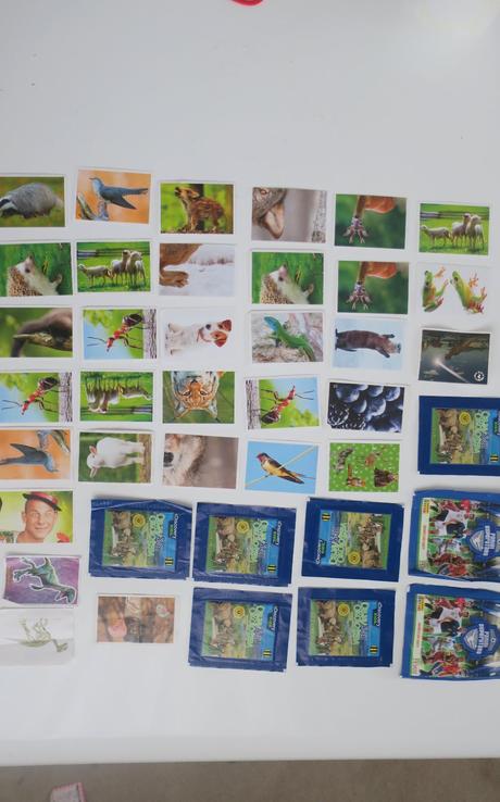 Zvieratká slovenska  a iné, 