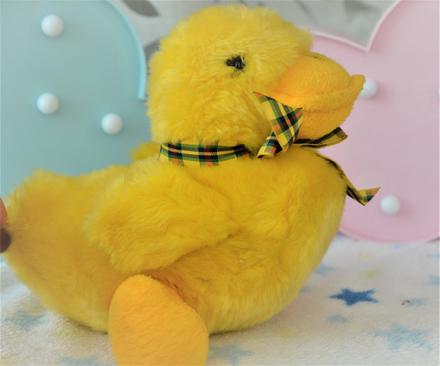 Plyšová kačička,