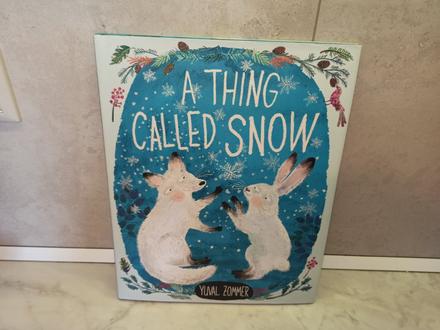 Yuval zommer - a thing called snow,