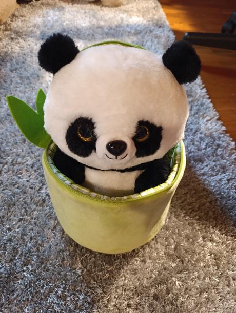Panda plyšová v obale v tvare bambusu dráčik, 