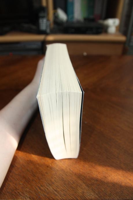 Gillian flynn - dark places, 