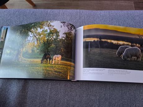 Čarovné piešťany a okolie, 